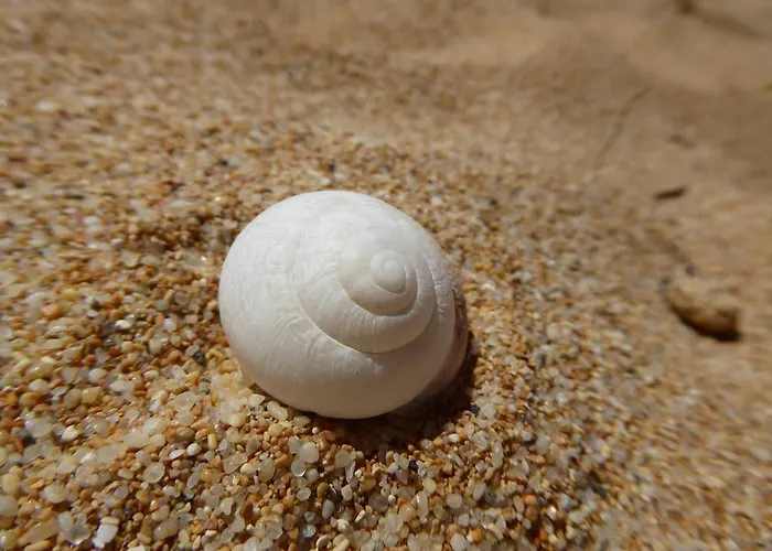 Villaggio Sabbie D'oro 2* Торре-дей-Корсари