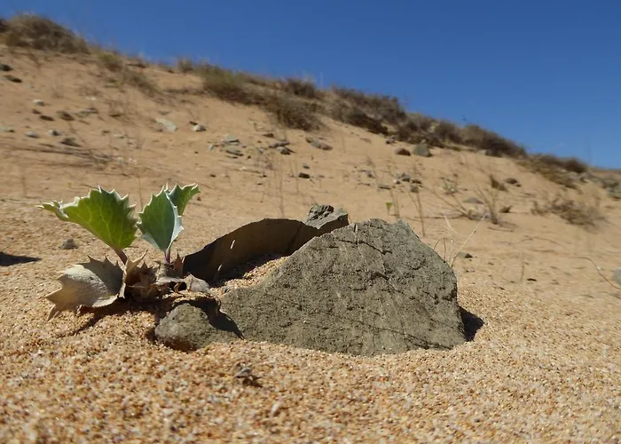 Villaggio Sabbie D'oro 2*